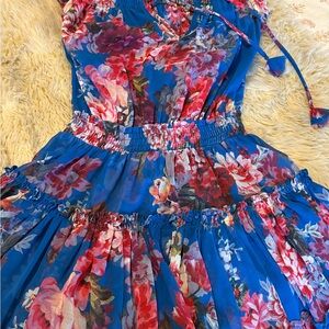 Misa Los Angeles Floral Blue and Red Mini Dress
